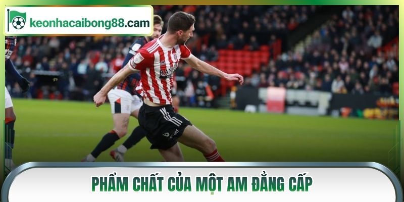 Phẩm chất của một AM đẳng cấp