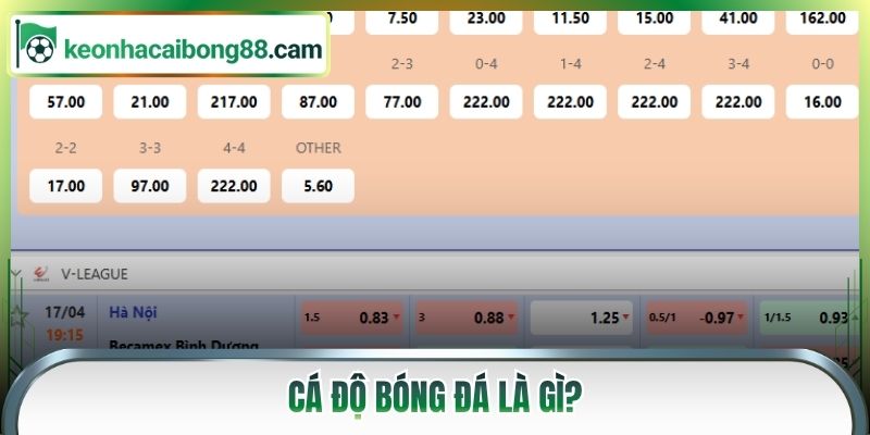 Cá độ bóng đá là gì