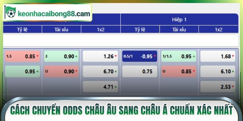 Cách chuyển odds châu Âu sang châu Á chuẩn xác nhất