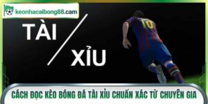 cách đọc kèo bóng đá tài xỉu