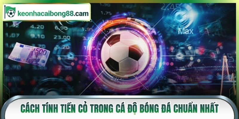 Cách tính tiền cỏ trong cá độ bóng đá chuẩn nhất