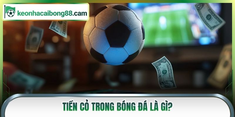 Tiền cỏ trong bóng đá là gì