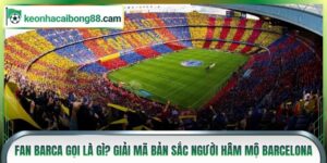 Fan Barca Gọi Là Gì