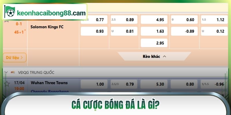 Cá cược bóng đá là gì
