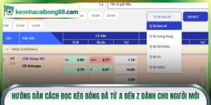 Hướng dẫn cách đọc kèo bóng đá