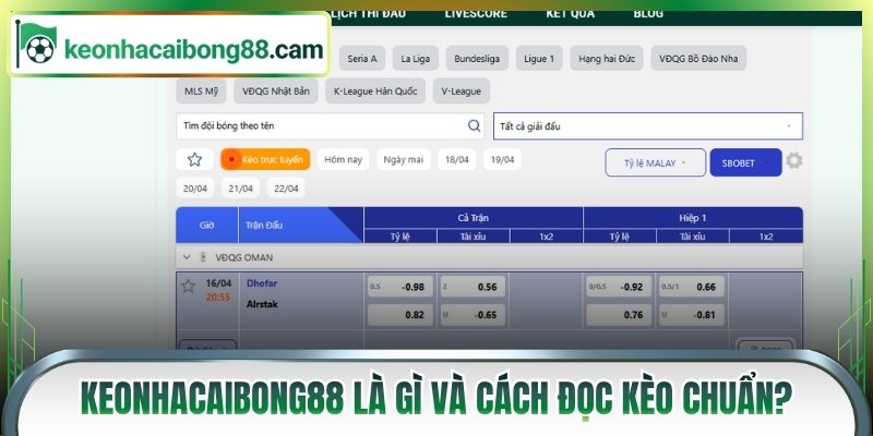 Kèo Nhà Cái Bong88 là gì và cách đọc kèo chuẩn?