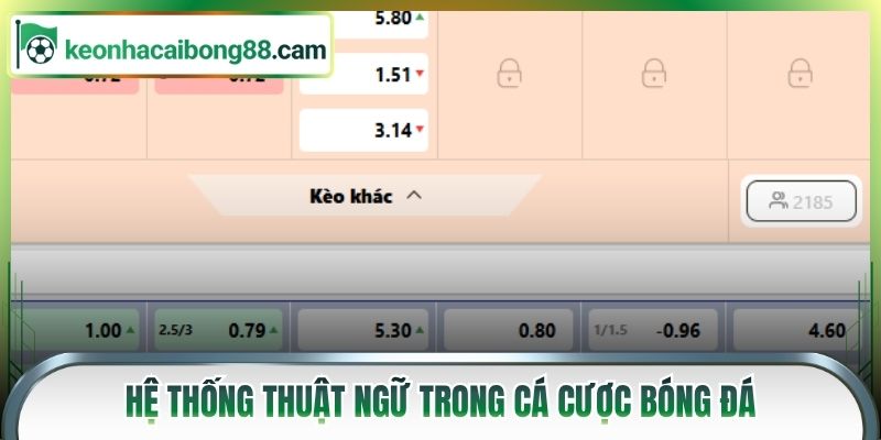 Hệ thống thuật ngữ trong cá cược bóng đá