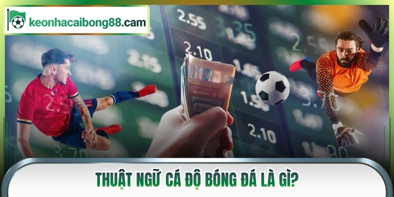Thuật ngữ cá độ bóng đá là gì?