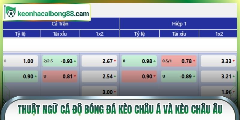 Thuật ngữ cá độ bóng đá kèo châu Á và kèo châu Âu