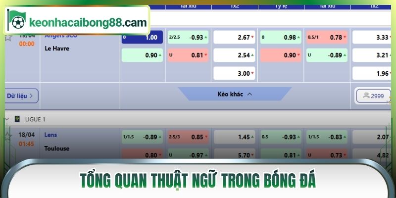 Tổng quan thuật ngữ trong bóng đá
